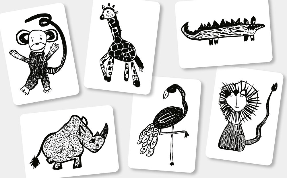 Flash cards - Safari