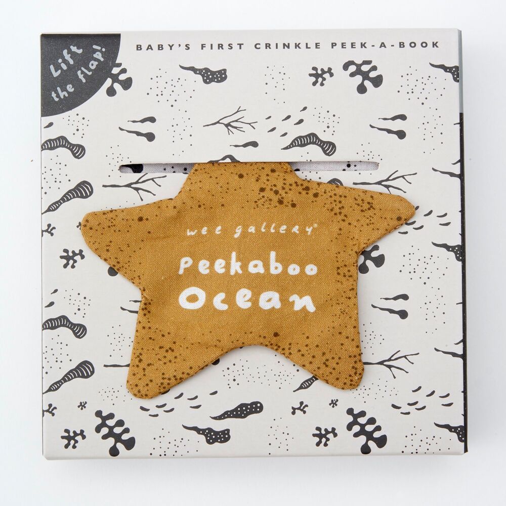 Soft book peekaboo Ocean