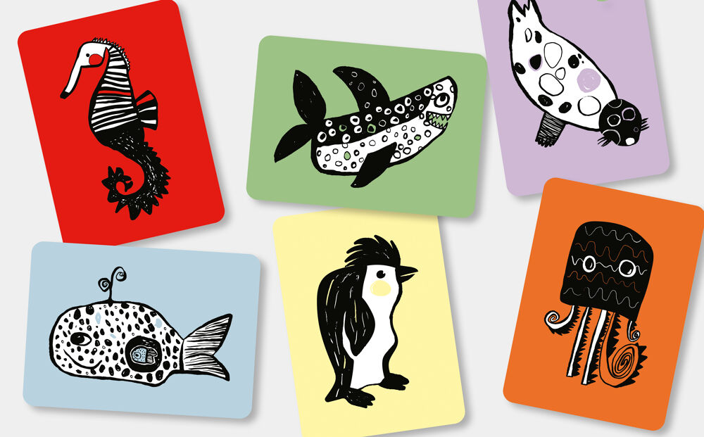 Flash cards - Oceaan