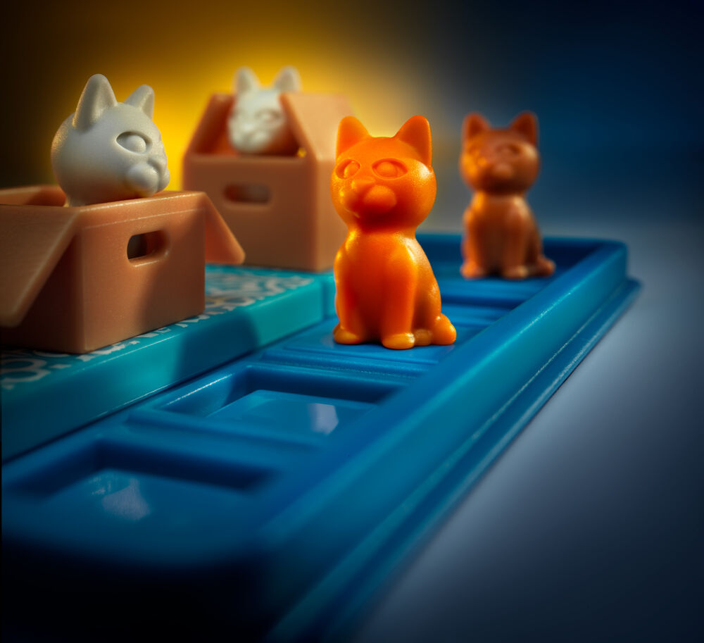 Cats and boxes