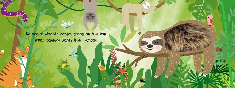 Kijk en voel - Jungledieren