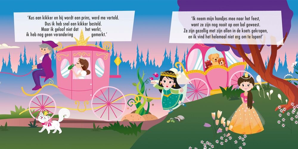 Puzzelkoets Prinsessen