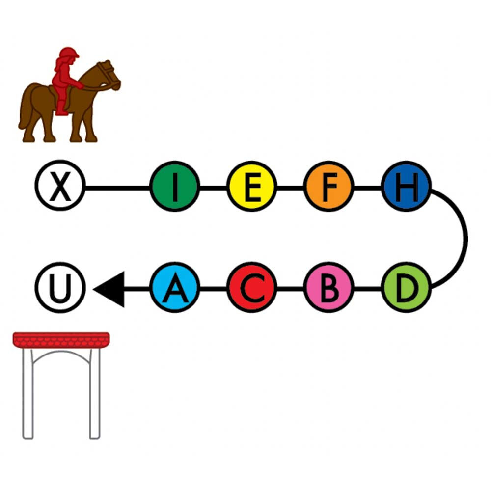 Horse Academy